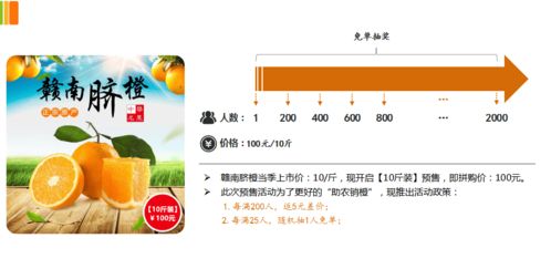 預售拼購模式在農產品電商的實踐與價值 以贛南臍橙為例的軟件系統推演剖析